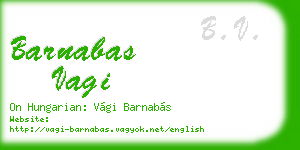 barnabas vagi business card