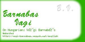 barnabas vagi business card